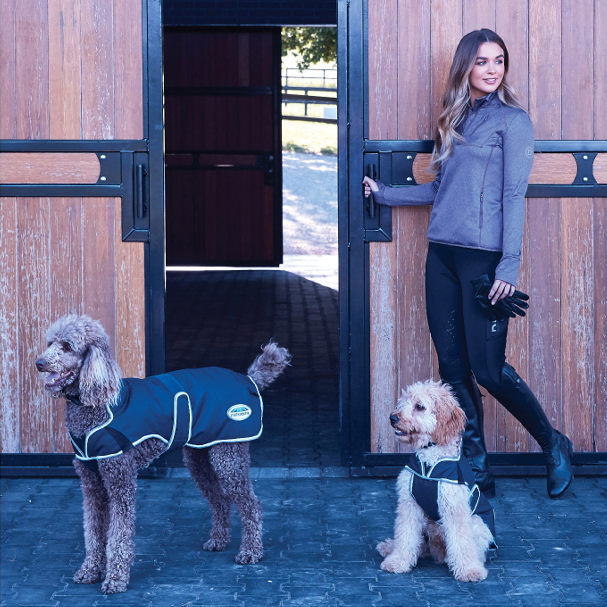 Weatherbeeta - Dog Comfitec Premier Free Parka Delux Dog Coat - Dark Blue